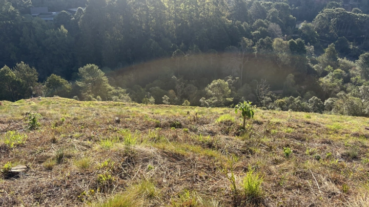 Terreno/Lote Residencial para Venda - Campos do Jordão, Atalaia - REF: TE0118 Imagem da galeria de fotos: Terreno/Lote Residencial para Venda - Campos do Jordão, Atalaia - REF: TE0118