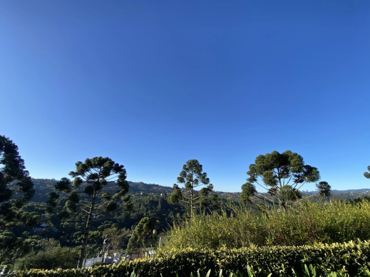 Casa Residencial para Venda - Campos do Jordão, Jardim Véu da Noiva - REF: CA0351 Imagem da galeria de fotos: Casa Residencial para Venda - Campos do Jordão, Jardim Véu da Noiva - REF: CA0351