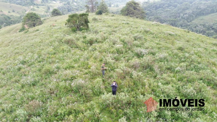 Imagem da galeria de fotos: Terreno/Lote Residencial para Venda - Campos do Jordão, Parque Ferradura - REF: TE0131