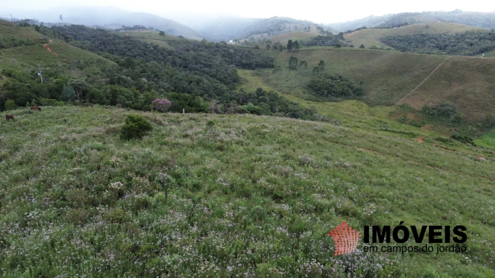 Imagem da galeria de fotos: Terreno/Lote Residencial para Venda - Campos do Jordão, Parque Ferradura - REF: TE0131