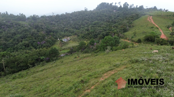 Imagem da galeria de fotos: Terreno/Lote Residencial para Venda - Campos do Jordão, Parque Ferradura - REF: TE0131