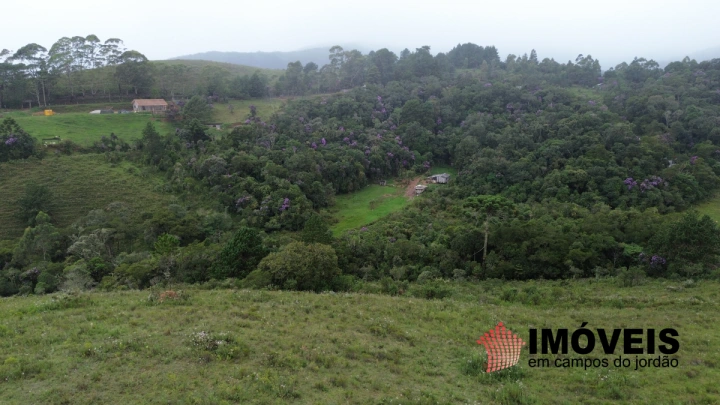 Imagem da galeria de fotos: Terreno/Lote Residencial para Venda - Campos do Jordão, Parque Ferradura - REF: TE0131