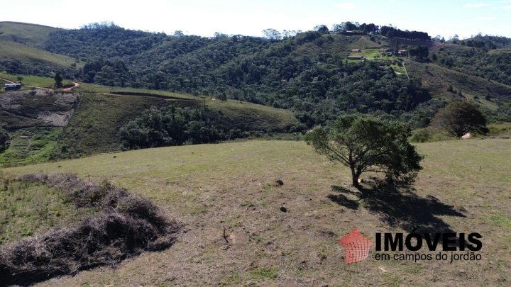 Imagem da galeria de fotos: Terreno/Lote Residencial para Venda - Campos do Jordão, Parque Ferradura - REF: TE0131