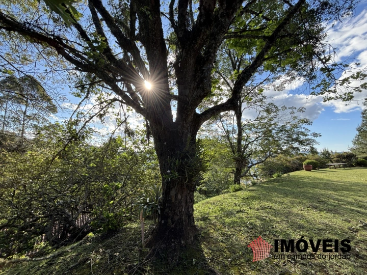 Casa Residencial para Venda - Campos do Jordão, Parque Morro Pedra do Fogo - REF: CA0425 Imagem da galeria de fotos: Casa Residencial para Venda - Campos do Jordão, Parque Morro Pedra do Fogo - REF: CA0425