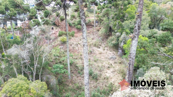 Imagem da galeria de fotos: Terreno/Lote Residencial para Venda - Campos do Jordão, Recanto das Araucárias - REF: TE0132