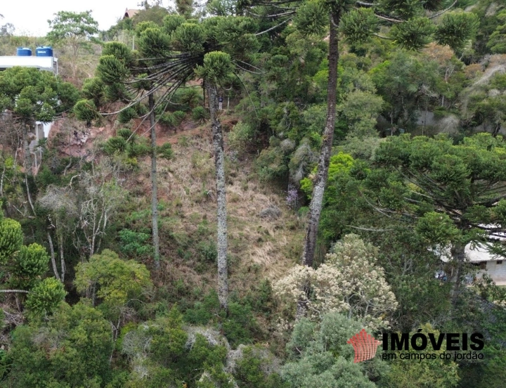 Imagem da galeria de fotos: Terreno/Lote Residencial para Venda - Campos do Jordão, Recanto das Araucárias - REF: TE0132