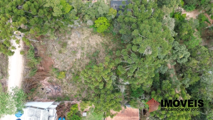 Imagem da galeria de fotos: Terreno/Lote Residencial para Venda - Campos do Jordão, Recanto das Araucárias - REF: TE0132