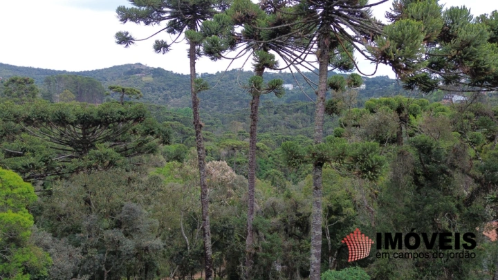 Imagem da galeria de fotos: Terreno/Lote Residencial para Venda - Campos do Jordão, Recanto das Araucárias - REF: TE0132