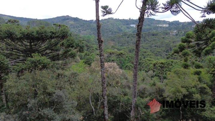 Imagem da galeria de fotos: Terreno/Lote Residencial para Venda - Campos do Jordão, Recanto das Araucárias - REF: TE0132