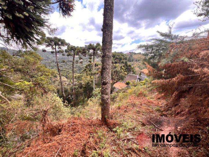 Imagem da galeria de fotos: Terreno/Lote Residencial para Venda - Campos do Jordão, Recanto das Araucárias - REF: TE0132
