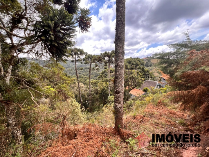 Imagem da galeria de fotos: Terreno/Lote Residencial para Venda - Campos do Jordão, Recanto das Araucárias - REF: TE0132
