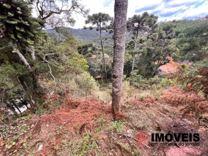 Imagem da galeria de fotos: Terreno/Lote Residencial para Venda - Campos do Jordão, Recanto das Araucárias - REF: TE0132