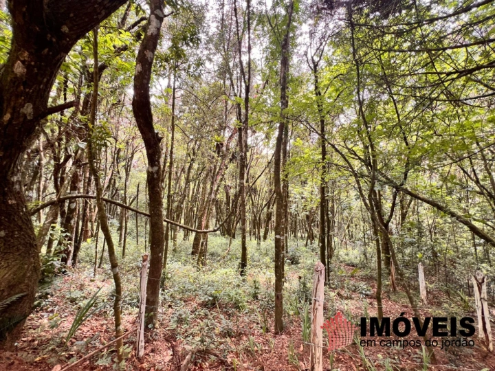 Terreno/Lote Residencial para Venda - Campos do Jordão, Vila Natal - REF: TE0133 Imagem da galeria de fotos: Terreno/Lote Residencial para Venda - Campos do Jordão, Vila Natal - REF: TE0133