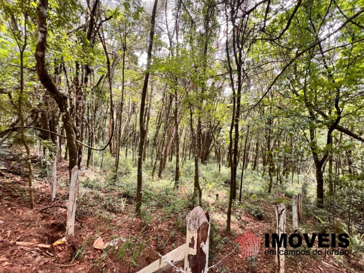 Terreno/Lote Residencial para Venda - Campos do Jordão, Vila Natal - REF: TE0133 Imagem da galeria de fotos: Terreno/Lote Residencial para Venda - Campos do Jordão, Vila Natal - REF: TE0133