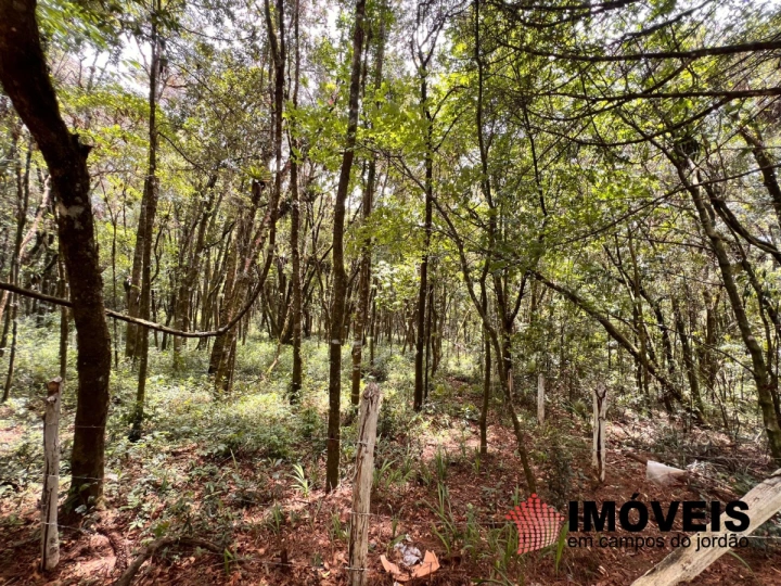 Terreno/Lote Residencial para Venda - Campos do Jordão, Vila Natal - REF: TE0133 Imagem da galeria de fotos: Terreno/Lote Residencial para Venda - Campos do Jordão, Vila Natal - REF: TE0133