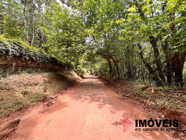 Terreno/Lote Residencial para Venda - Campos do Jordão, Vila Natal - REF: TE0133 Imagem da galeria de fotos: Terreno/Lote Residencial para Venda - Campos do Jordão, Vila Natal - REF: TE0133