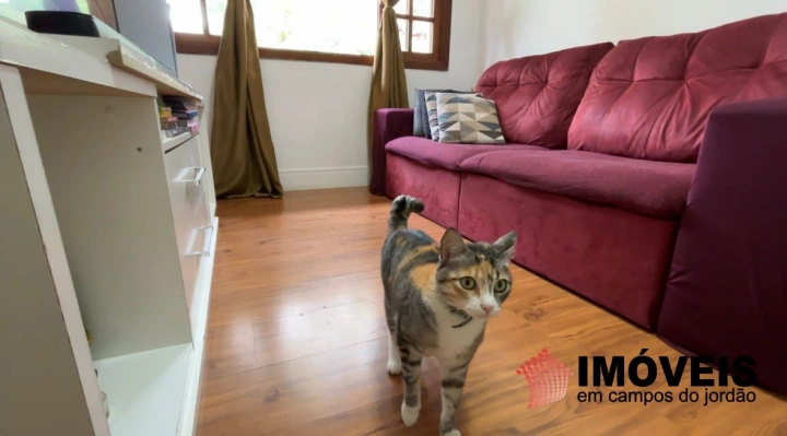 Apartamento Residencial para Venda - Campos do Jordão, Recanto Floresta Negra - REF: AP0173 Imagem da galeria de fotos: Apartamento Residencial para Venda - Campos do Jordão, Recanto Floresta Negra - REF: AP0173