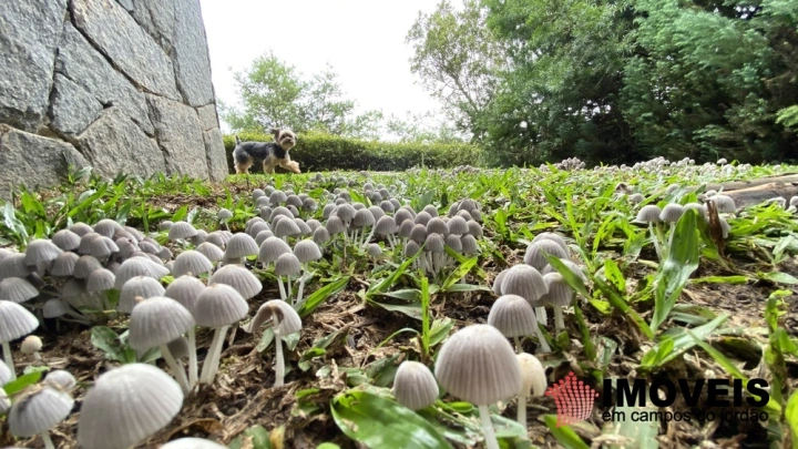 Casa Residencial para Venda - Campos do Jordão, Alto da Vila Inglesa - REF: 2703 Imagem da galeria de fotos: Casa Residencial para Venda - Campos do Jordão, Alto da Vila Inglesa - REF: 2703