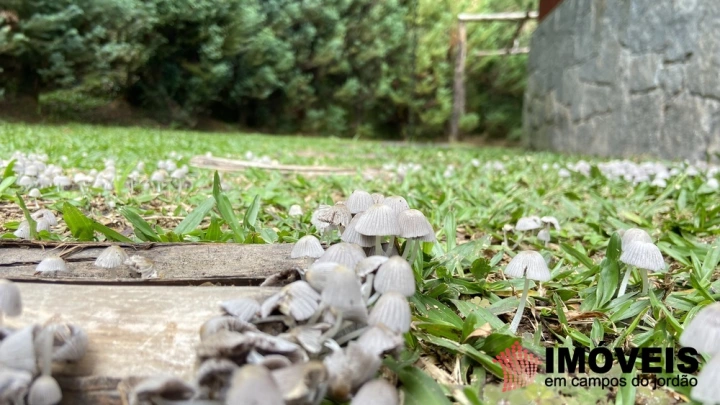 Casa Residencial para Venda - Campos do Jordão, Alto da Vila Inglesa - REF: 2703 Imagem da galeria de fotos: Casa Residencial para Venda - Campos do Jordão, Alto da Vila Inglesa - REF: 2703