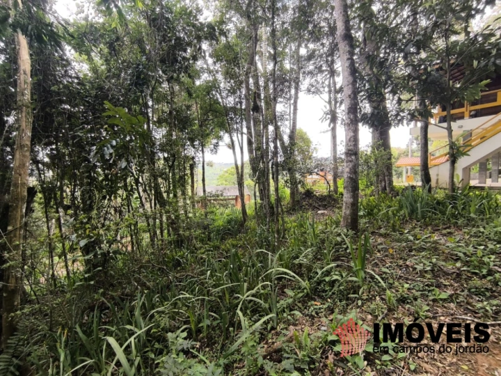 Casa Residencial para Venda - Campos do Jordão, Parque das Fontes - REF: CA0439 Imagem da galeria de fotos: Casa Residencial para Venda - Campos do Jordão, Parque das Fontes - REF: CA0439