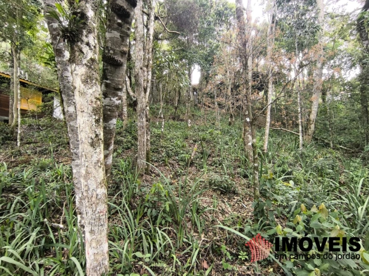 Casa Residencial para Venda - Campos do Jordão, Parque das Fontes - REF: CA0439 Imagem da galeria de fotos: Casa Residencial para Venda - Campos do Jordão, Parque das Fontes - REF: CA0439