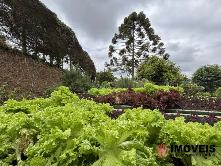 Apartamento Residencial para Venda - Campos do Jordão, Alto do Capivari - REF: AP0178 Imagem da galeria de fotos: Apartamento Residencial para Venda - Campos do Jordão, Alto do Capivari - REF: AP0178
