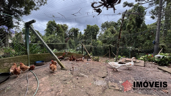 Apartamento Residencial para Venda - Campos do Jordão, Alto do Capivari - REF: AP0178 Imagem da galeria de fotos: Apartamento Residencial para Venda - Campos do Jordão, Alto do Capivari - REF: AP0178