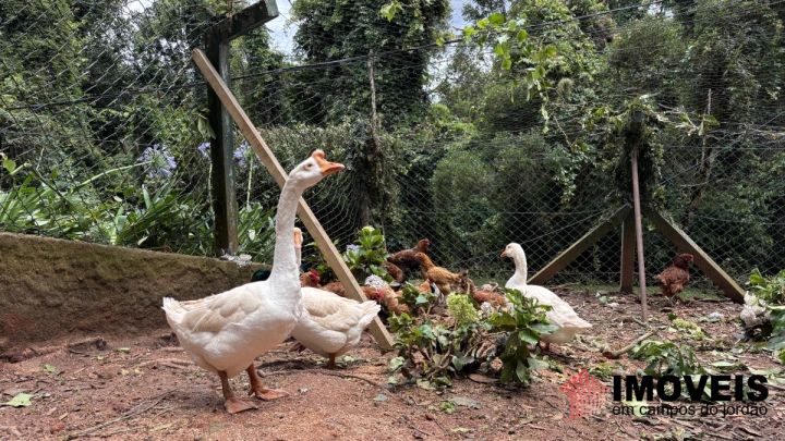 Apartamento Residencial para Venda - Campos do Jordão, Alto do Capivari - REF: AP0178 Imagem da galeria de fotos: Apartamento Residencial para Venda - Campos do Jordão, Alto do Capivari - REF: AP0178