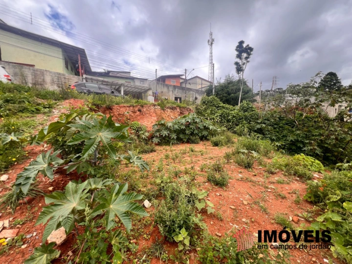 Imagem da galeria de fotos: Casa Residencial para Venda - Campos do Jordão, Branca Nuvens - REF: TE0134