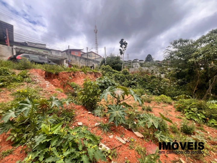 Imagem da galeria de fotos: Casa Residencial para Venda - Campos do Jordão, Branca Nuvens - REF: TE0134