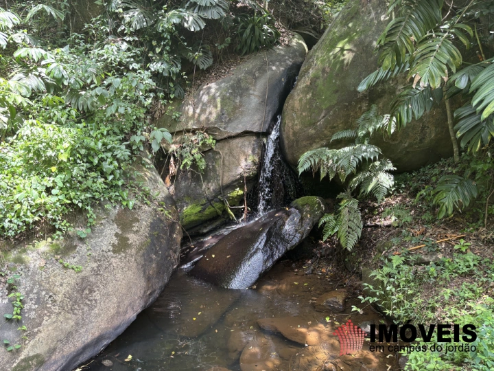 Sítio Rural para Venda - São Bento do Sapucaí, Serrano - REF: SI0006 Imagem da galeria de fotos: Sítio Rural para Venda - São Bento do Sapucaí, Serrano - REF: SI0006