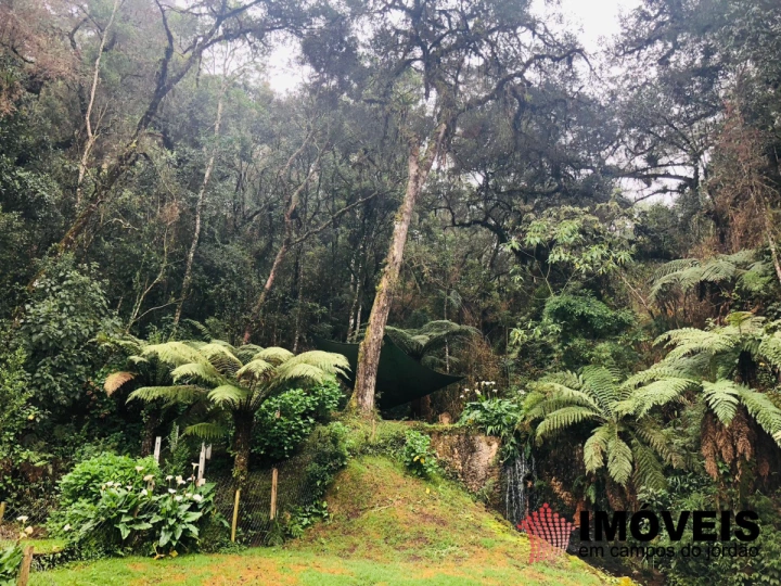 Casa Residencial para Venda - Campos do Jordão, Vila Jaguaribe - REF: CA0450 Imagem da galeria de fotos: Casa Residencial para Venda - Campos do Jordão, Vila Jaguaribe - REF: CA0450