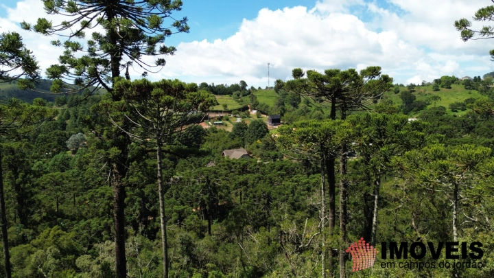 Imagem da galeria de fotos: Terreno/Lote Residencial para Venda - Campos do Jordão, Jardim Cataguazes - REF: TE0138