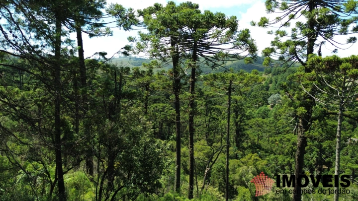 Imagem da galeria de fotos: Terreno/Lote Residencial para Venda - Campos do Jordão, Jardim Cataguazes - REF: TE0138