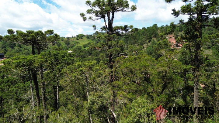 Imagem da galeria de fotos: Terreno/Lote Residencial para Venda - Campos do Jordão, Jardim Cataguazes - REF: TE0138