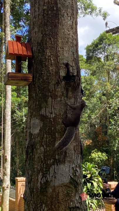 Imagem da galeria de fotos: Casa Residencial para Venda - Campos do Jordão, Parque Pedra do Baú - REF: 2794