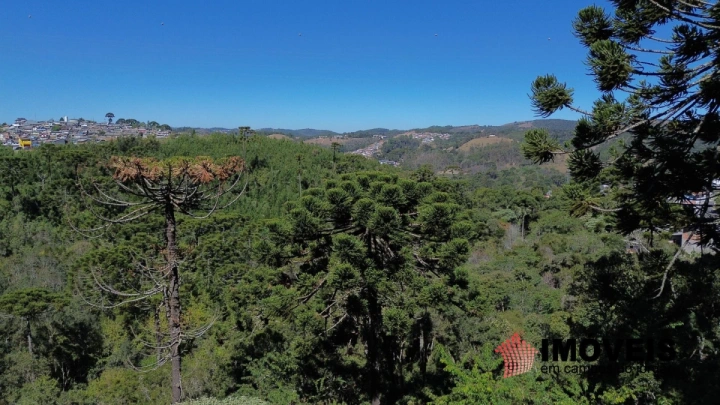 Imagem da galeria de fotos: Terreno/Lote Residencial para Venda - Campos do Jordão, Jardim Sumaré - REF: TE0102