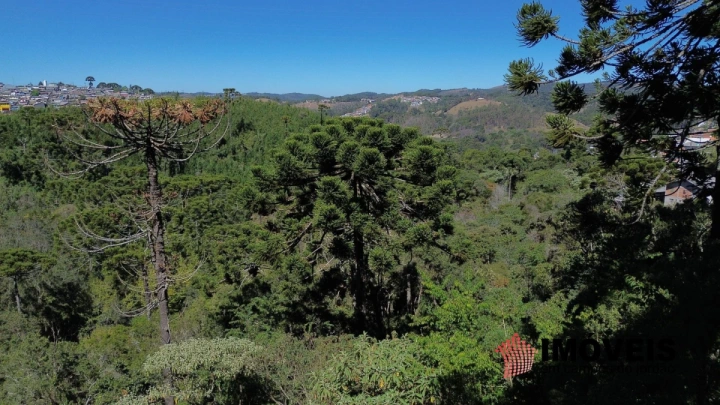 Imagem da galeria de fotos: Terreno/Lote Residencial para Venda - Campos do Jordão, Jardim Sumaré - REF: TE0102