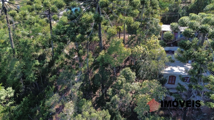 Imagem da galeria de fotos: Terreno/Lote Residencial para Venda - Campos do Jordão, Jardim Sumaré - REF: TE0102
