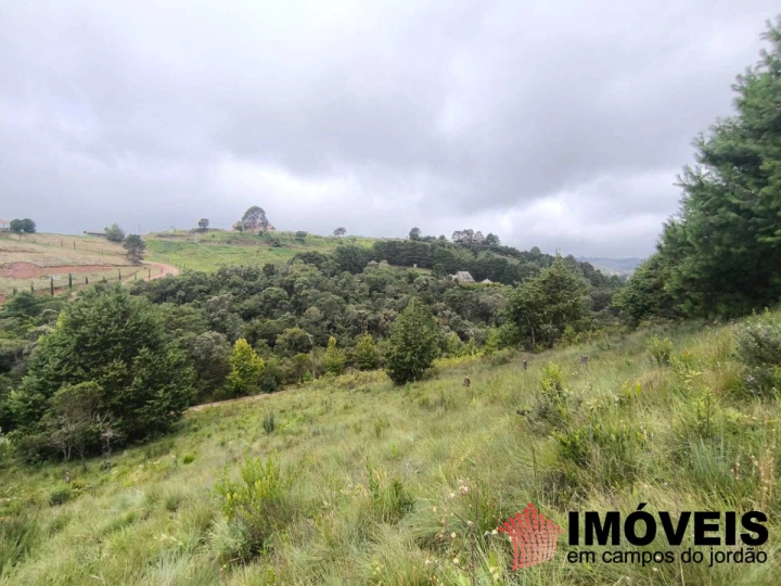 Imagem da galeria de fotos: Terreno/Lote Residencial para Venda - Campos do Jordão, Passos da Mantiqueira - REF: TE0141