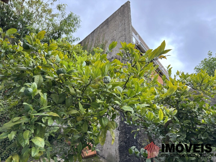 Imagem da galeria de fotos: Casa Residencial para Venda - Campos do Jordão, Vila Nova Suiça - REF: CA0462