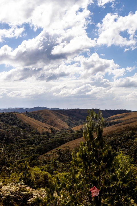 Imagem da galeria de fotos: Casa Residencial para Venda - Campos do Jordão, Nova Capivari - REF: CA0476