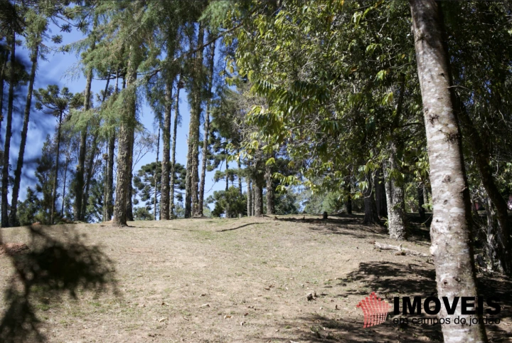 Imagem da galeria de fotos: Sítio Residencial para Venda - Campos do Jordão, Parque Ferradura - REF: SI0012
