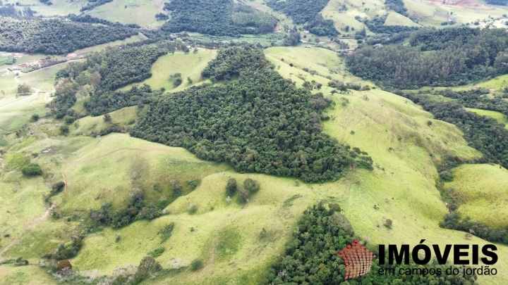 Imagem da galeria de fotos: Fazenda Rural para Venda - Sapucaí-Mirim, Sapucaí Mirim - REF: FA0004