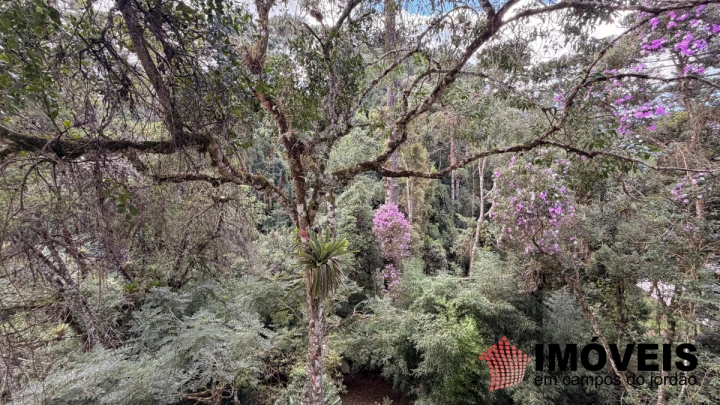 Casa Residencial para Venda - Campos do Jordão, Morro do Elefante - REF: CA0488 Imagem da galeria de fotos: Casa Residencial para Venda - Campos do Jordão, Morro do Elefante - REF: CA0488