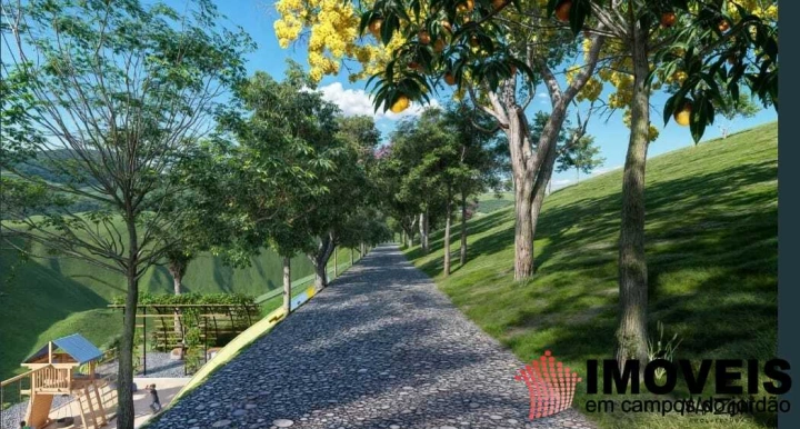 Imagem da galeria de fotos: Terreno/Lote Residencial para Venda - Santo Antônio do Pinhal, Santo Antônio do Pinhal - REF: TE0144