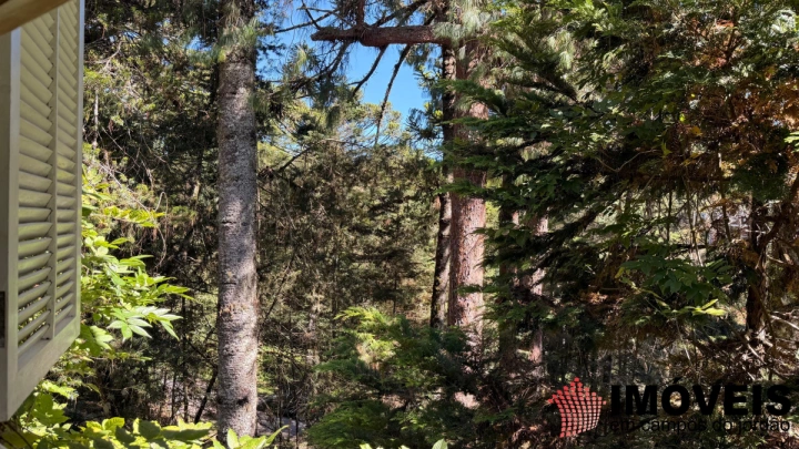 Imagem da galeria de fotos: Casa Residencial para Venda - Campos do Jordão, Fonte Simão - REF: CA0499