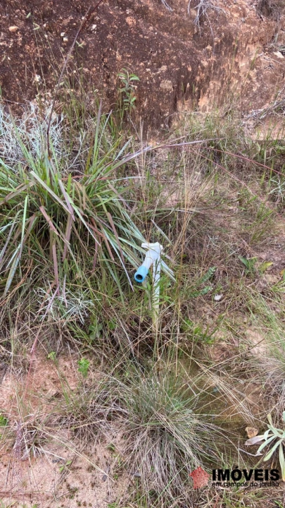 Imagem da galeria de fotos: Terreno/Lote Residencial para Venda - Campos do Jordão, Minalba - REF: TE0150