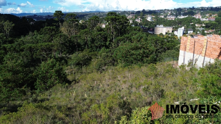 Imagem da galeria de fotos: Terreno/Lote Residencial para Venda - Campos do Jordão, Atalaia - REF: TE0154