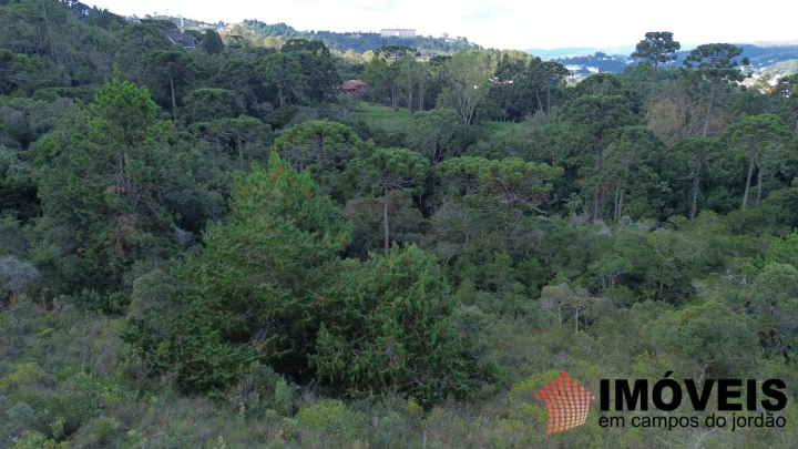 Imagem da galeria de fotos: Terreno/Lote Residencial para Venda - Campos do Jordão, Atalaia - REF: TE0154